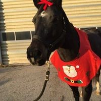 Profile Picture of Kimberly Reilly (@kimberly-reilly-7) on Quora