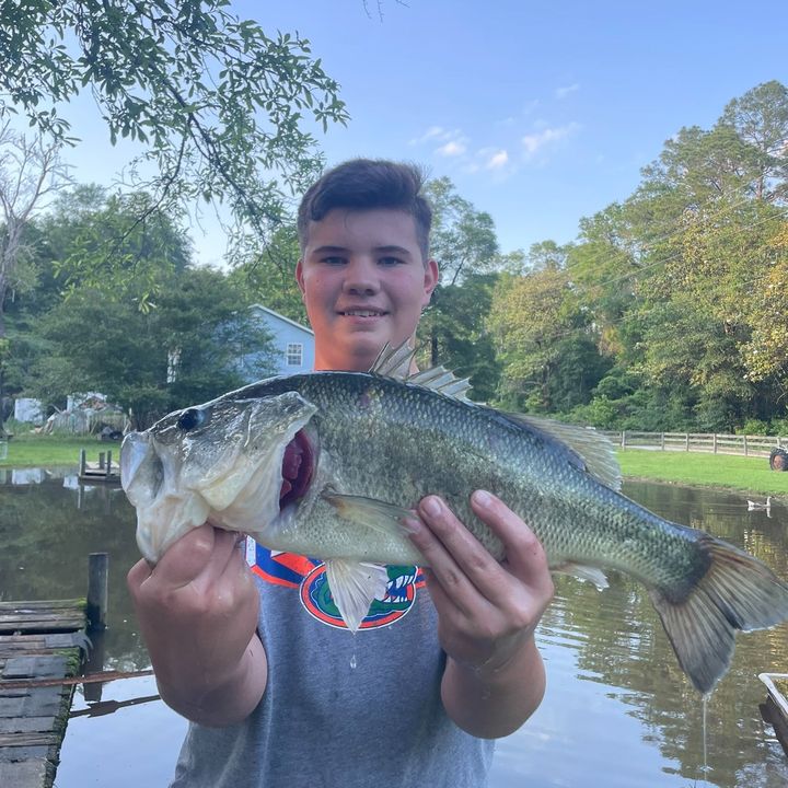 Profile Picture of Scott Bird (@scott.bird1) on Tiktok