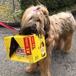 Profile Picture of Peter Bürlimann (@bebelsbar) on Instagram