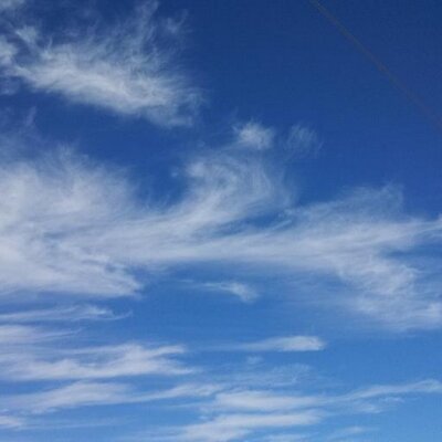 Profile Picture of Tammy (@sweetasever) on Twitter