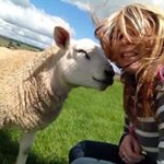 Profile Picture of Stephen Percival (@texelsnow) on Instagram