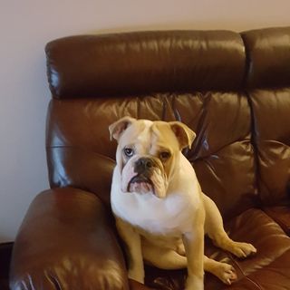 Profile Picture of Malcolm Rees (@malcolm.rees.9887) on Facebook