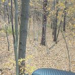 Profile Picture of Stephen Elmer Bauch (@stephen.bauch) on Facebook