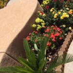 Profile Picture of Terry Hayes (@terrysonny) on Instagram