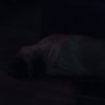 Profile Picture of Tristan Hanson (@tristanhanson70) on Instagram