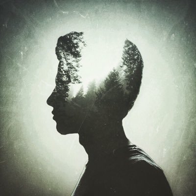 Profile Picture of Kyle Leung (@KyleLeung_23) on Twitter