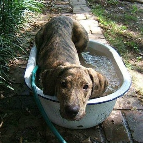 Profile Picture of Milo Jones (@milo22) on Poshmark