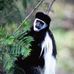 Profile Picture of James Blacker (@james.blacker.731) on Facebook