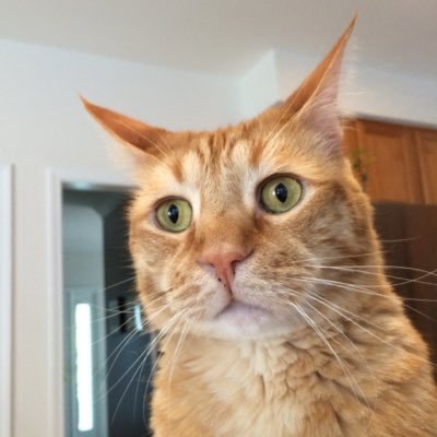 Profile Picture of Dustin Maurice (@dustin_maurice4) on Twitter