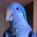 Profile Picture of John Michalik (@john.michalik.92) on Facebook