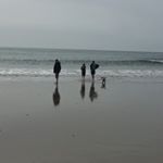 Profile Picture of Steve Tanner (@tanpug2) on Instagram