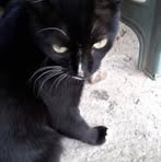 Profile Picture of Moises Ceballos (@moises.ceballos.5059) on Facebook