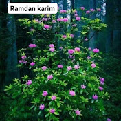 Profile Picture of Mohammed Nasiruddin (@mohammednasiruddin1555) on Youtube