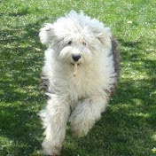 Profile Picture of Ben Dix (Skypizza9) (@bendix914) on Youtube