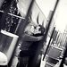 Profile Picture of Craig Jarrell (@craigtjarrell) on Pinterest