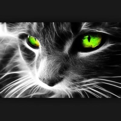 Profile Picture of Toby Yates (@YatesToby) on Twitter