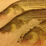 Profile Picture of Terri Spruill (@magicericlee30) on Instagram