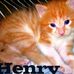 Profile Picture of Henry Collier (@henry.collier.50) on Facebook