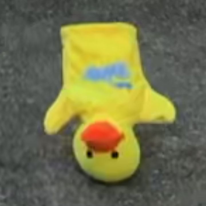 Profile Picture of bobby (@@bobby.duck) on Tiktok