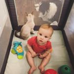 Profile Picture of David Huff (@david_huff013) on Instagram