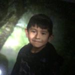 Profile Picture of David Patricio (@hbk.david.rares) on Instagram