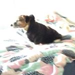 Basil - Instagram Profile Picture of Basil (@basil_nash) on Instagram