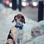 Profile Picture of Nicolas Pichardo (@pichardonicolas78) on Instagram