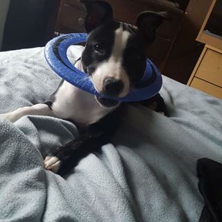 Profile Picture of Andrew Greenhow (@Andrew-Greenhow) on Facebook