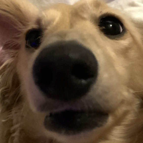 Profile Picture of Jonathan Santana (@samuraisdead) on Poshmark