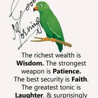 Profile Picture of Rana Tahir (@ranatahircol) on Twitter