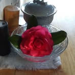 Profile Picture of Sherry Felkner (@sherry.felkner.71) on Facebook