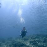 Profile Picture of Winnie Yu (@winnieyu1024) on Instagram