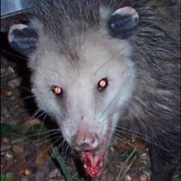 Profile Picture of Colin Bentley (@colinbentley) on Poshmark