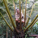 Profile Picture of Jesse Granger (@botanical adventures by jesse granger) on Flickr