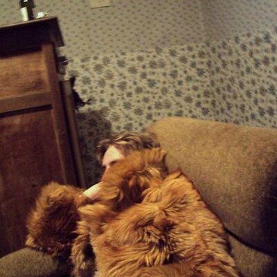 Profile Picture of Bert Jacobs (@jacobsbertdotbe) on Twitter