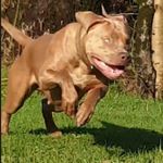 Profile Picture of edward bennett (@edwardbennett716) on Instagram