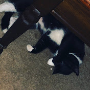 Profile Picture of Charles Thatcher (@idekwhereiam) on Youtube