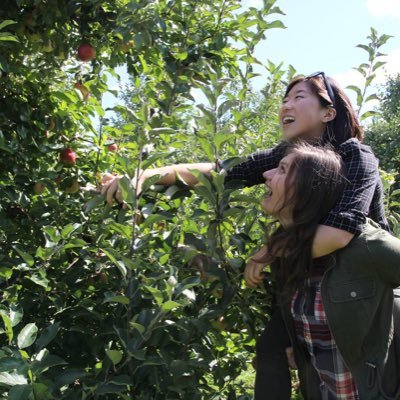 Profile Picture of Ling Peng (@LwPeng) on Twitter