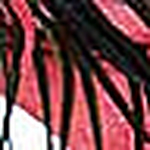 Kamran  Haider - Flickr Profile Picture of Kamran  Haider (@dreams_life12345) on Flickr