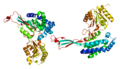 Profile Picture of Aldehyde dehydrogenase 18 family, member A1on Wikipedia