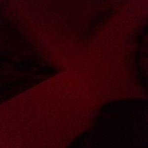 Profile Picture of Sean Kroll (@krollioli) on Twitter