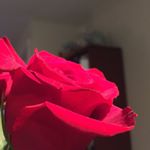 Profile Picture of Tiktok (@neal__jennings_2019) on Instagram