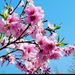 Profile Picture of tony clouse (@applemobileltd1100) on Pinterest