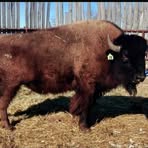 Profile Picture of Eldon Fleming (@eldon.fleming.2025) on Facebook