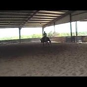 Profile Picture of Laurieduerksen (@laurieduerksen) on Youtube