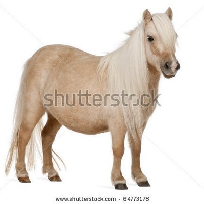 Profile Picture of Tori Craig (@vickihcraig) on Twitter