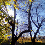 Profile Picture of Stepan Tatarchenko (@profake6949) on Youtube