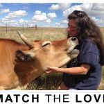 Profile Picture of Michele Alley Grubb (@peaceful_prairie_sanctuary) on Instagram