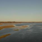 Profile Picture of Janet Dunwoody (@janet_dunwo) on Instagram