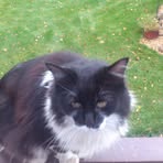 Profile Picture of Gary Hotton (@gary.hotton.2025) on Facebook